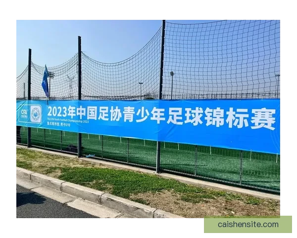 中国足协披露青少年注册球员达十点九二万人中国足球崛起在望